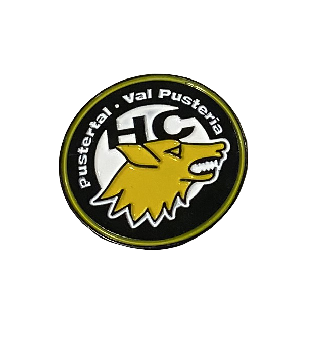 Pin Logo HCP